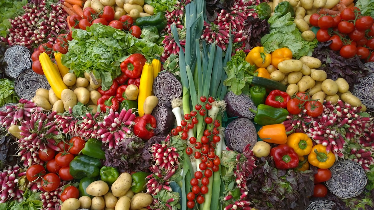 Nutrihealthexpert team working with nutrition resources